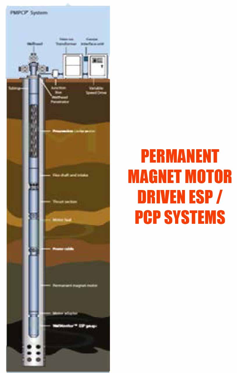 MPS - ESP Pumps of Permanent Magnet Motors